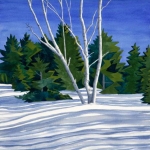 1-mcdowell-birches-near-witch-hole-pond
