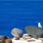 Snowy-Owl-on-Penobscot-Mtn