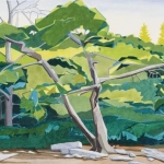 mcdowell_diana_kwp3454