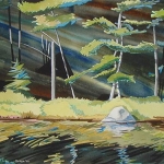 narraguagus_lake_shore