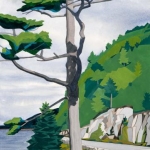 pine_tree_on_sargent_drive