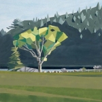 Birch-Tree-on-Little-Long-Pond
