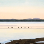 Black-Ducks-Looking-at-MDI
