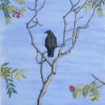 Crow-and-Mountain-Ash