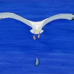 Herring-Gull-Dropping-Mussel-Shell
