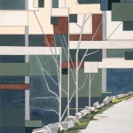 Shad-Trees-Reaching-for-Sunlight