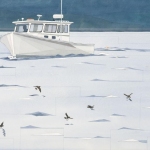 Wilsons-Storm-Petrels