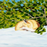drm-napping-fox-1024x848