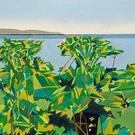 odocoilius_rugosa_002